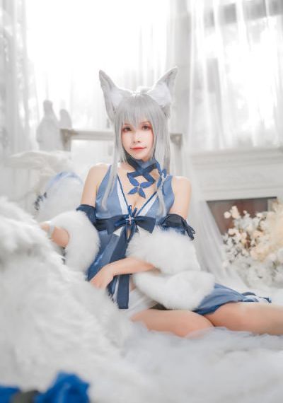 小猫咪视频