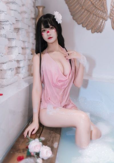 继承者