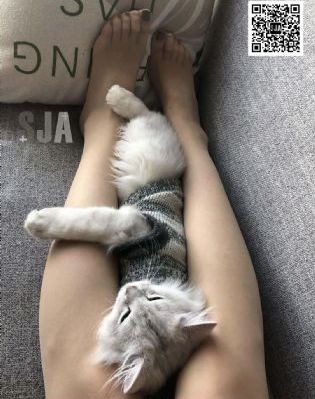 时光之轮