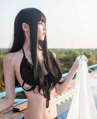 海鸥