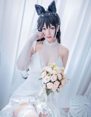 后浪1-40集完整版免费观看