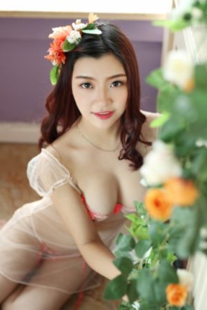 回到明朝当王爷