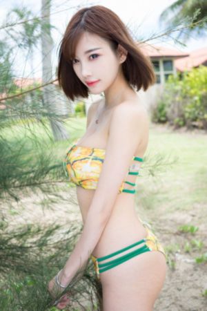 你是我的荣耀电视剧免费观看