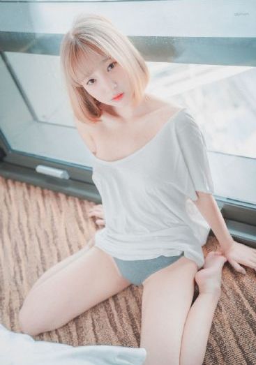 细狗网页版登录入口