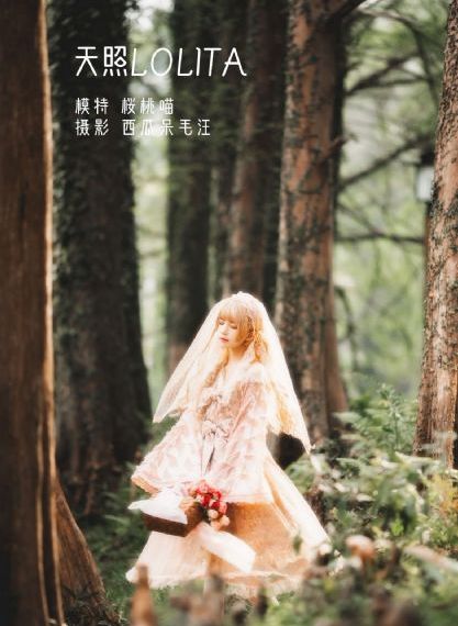 《贝利弗山的秘密》电影在线观看
