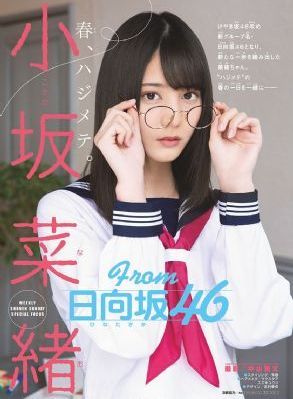 全员加速中对战季免费观看