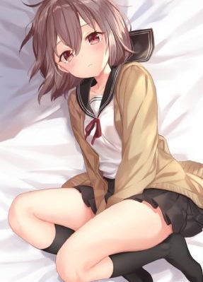 女士的法则全集免费观看完整版
