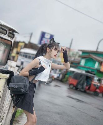 灰姑娘与四名骑士